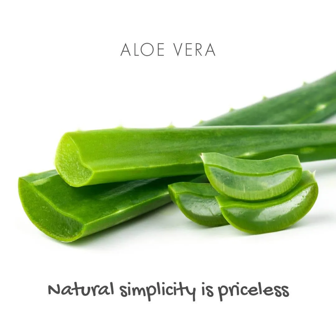 Aloe Vera Eco Friendly Soap Bar