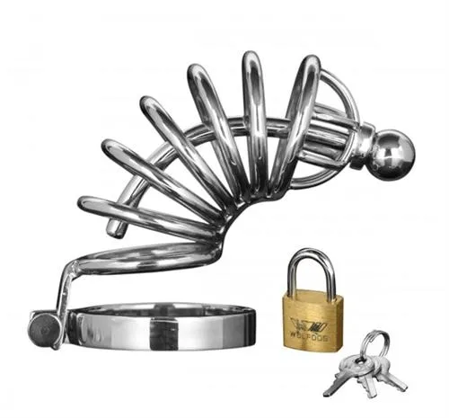 Asylum 4 Ring Locking Chastity Cage - Small/medium