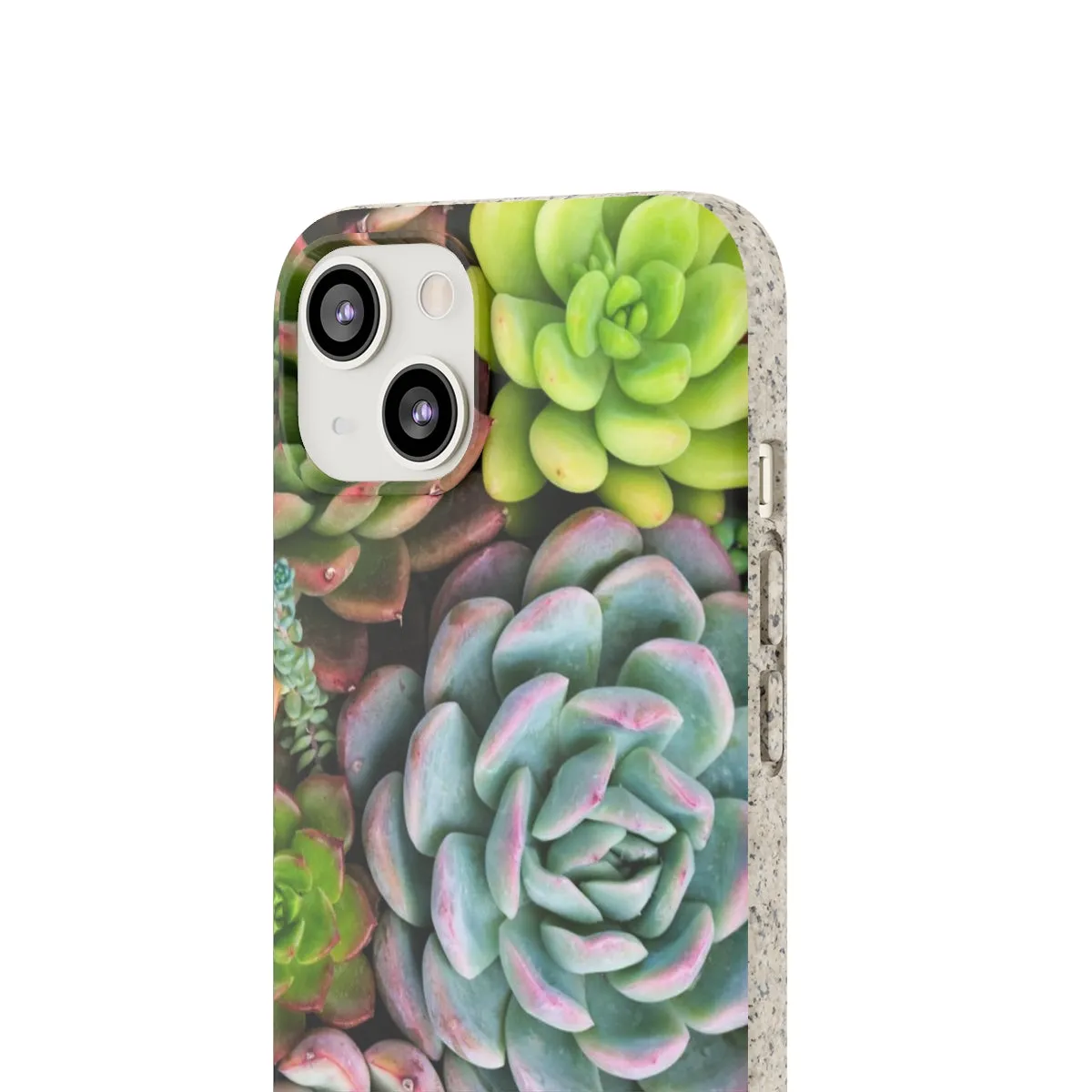 Cactus Eco Phone Case, Succulent iPhone 13 12 11 Pro Biodegradable Mini Plant Samsung Galaxy S20 S21 S22 Eco Friendly