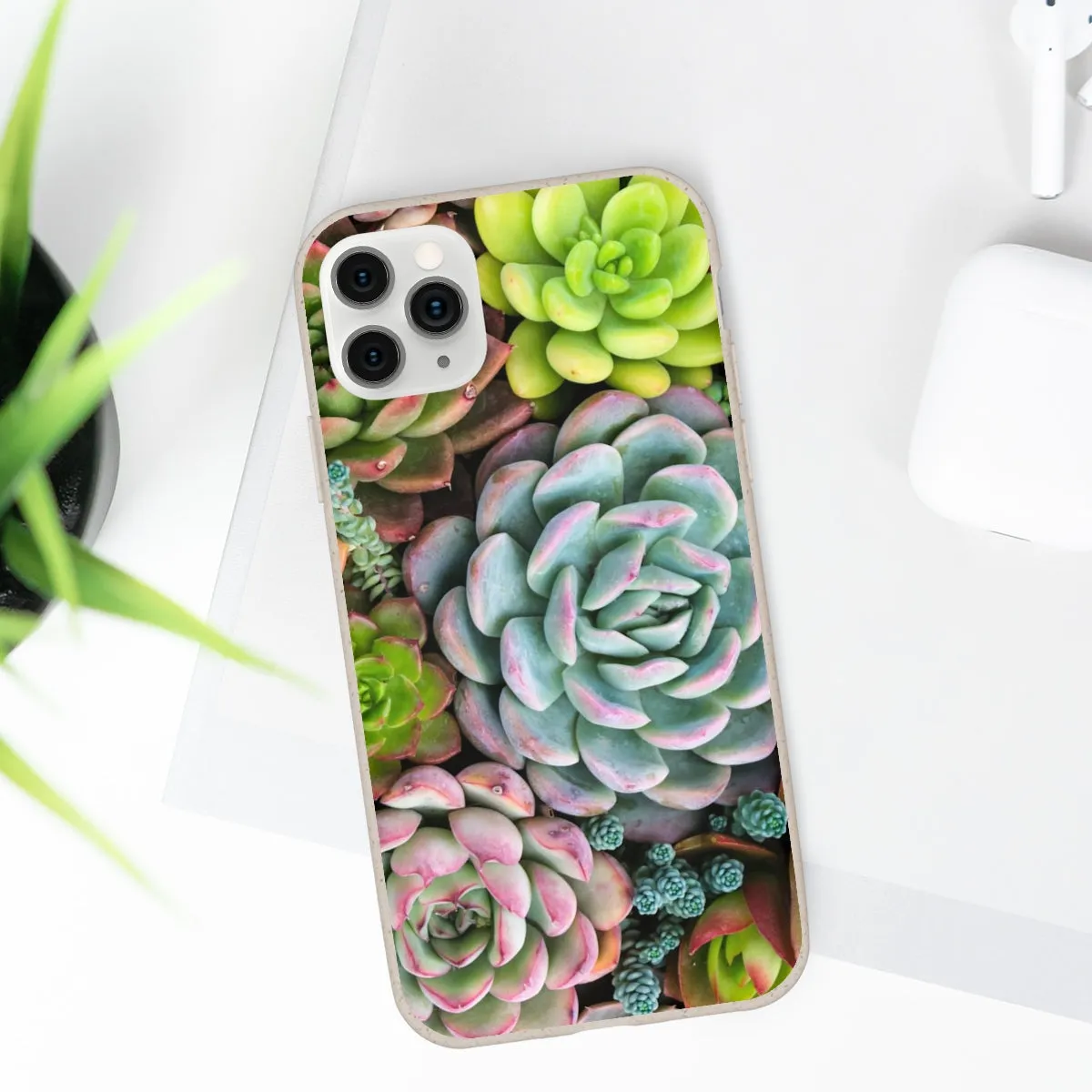 Cactus Eco Phone Case, Succulent iPhone 13 12 11 Pro Biodegradable Mini Plant Samsung Galaxy S20 S21 S22 Eco Friendly