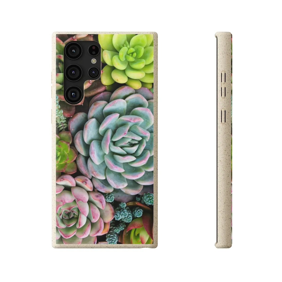 Cactus Eco Phone Case, Succulent iPhone 13 12 11 Pro Biodegradable Mini Plant Samsung Galaxy S20 S21 S22 Eco Friendly