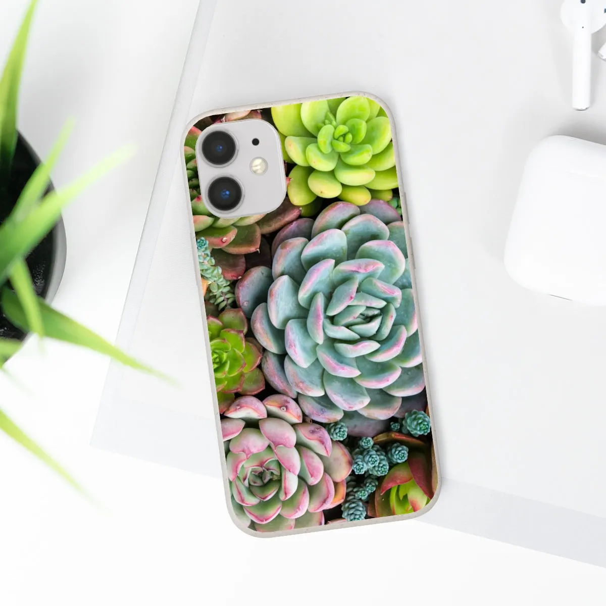 Cactus Eco Phone Case, Succulent iPhone 13 12 11 Pro Biodegradable Mini Plant Samsung Galaxy S20 S21 S22 Eco Friendly