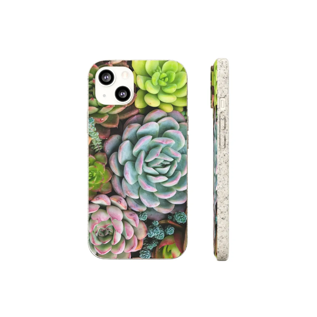 Cactus Eco Phone Case, Succulent iPhone 13 12 11 Pro Biodegradable Mini Plant Samsung Galaxy S20 S21 S22 Eco Friendly