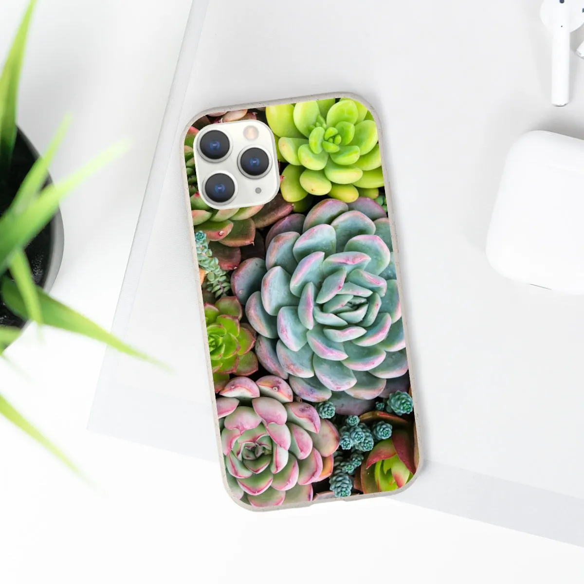 Cactus Eco Phone Case, Succulent iPhone 13 12 11 Pro Biodegradable Mini Plant Samsung Galaxy S20 S21 S22 Eco Friendly