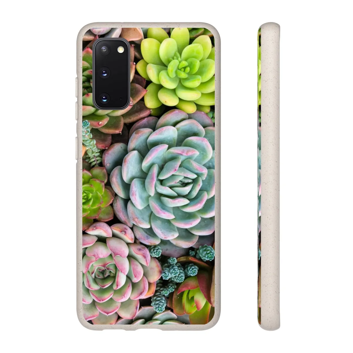 Cactus Eco Phone Case, Succulent iPhone 13 12 11 Pro Biodegradable Mini Plant Samsung Galaxy S20 S21 S22 Eco Friendly