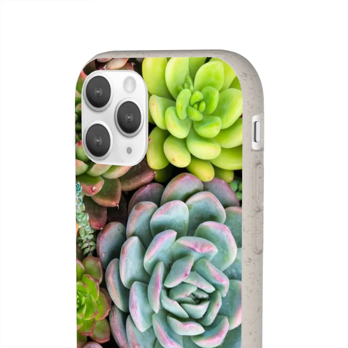 Cactus Eco Phone Case, Succulent iPhone 13 12 11 Pro Biodegradable Mini Plant Samsung Galaxy S20 S21 S22 Eco Friendly