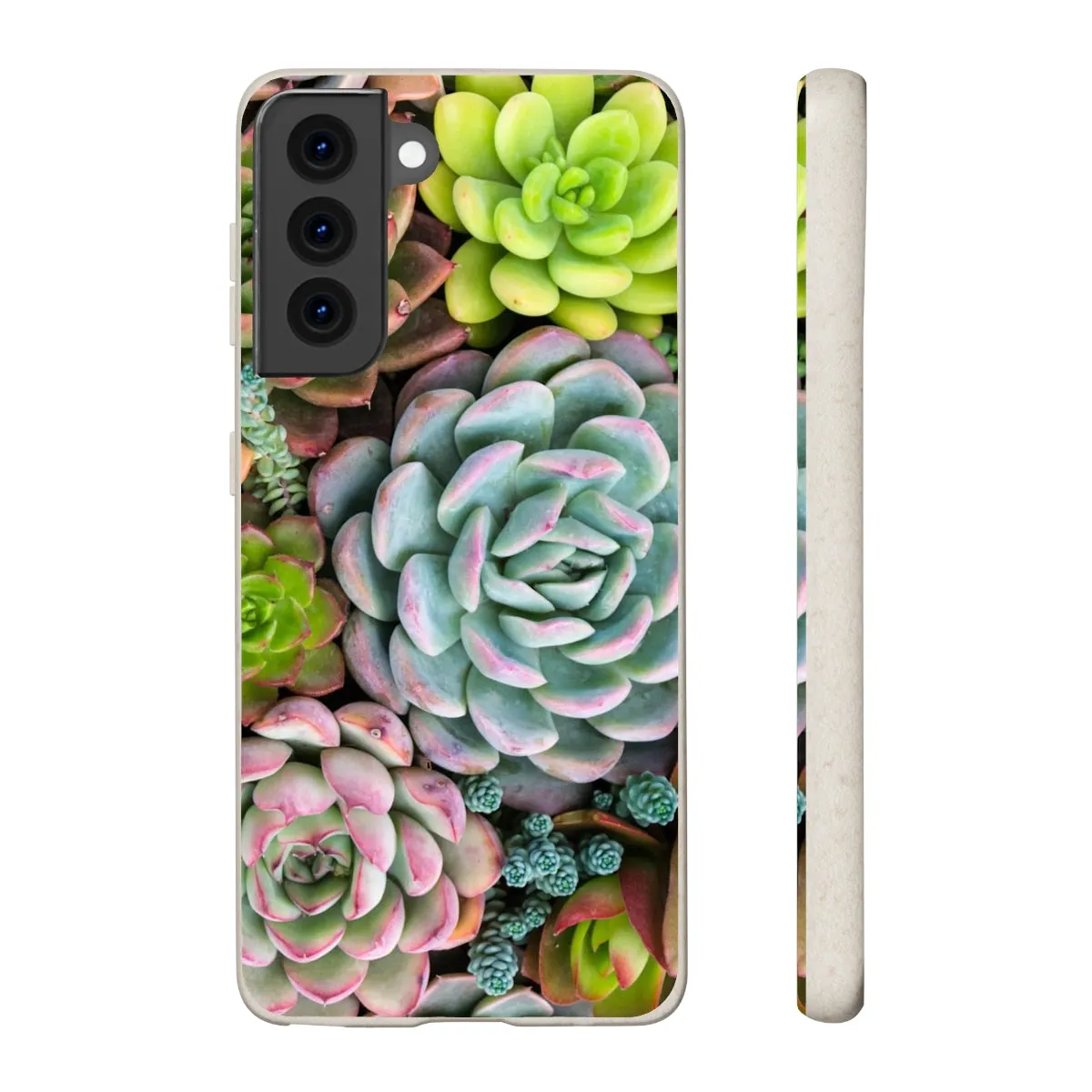 Cactus Eco Phone Case, Succulent iPhone 13 12 11 Pro Biodegradable Mini Plant Samsung Galaxy S20 S21 S22 Eco Friendly