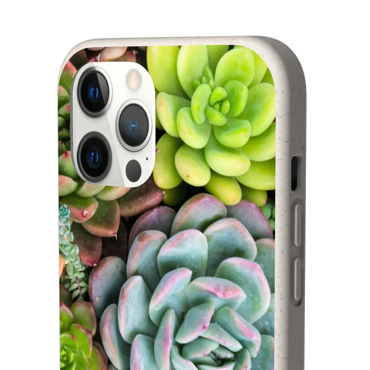 Cactus Eco Phone Case, Succulent iPhone 13 12 11 Pro Biodegradable Mini Plant Samsung Galaxy S20 S21 S22 Eco Friendly