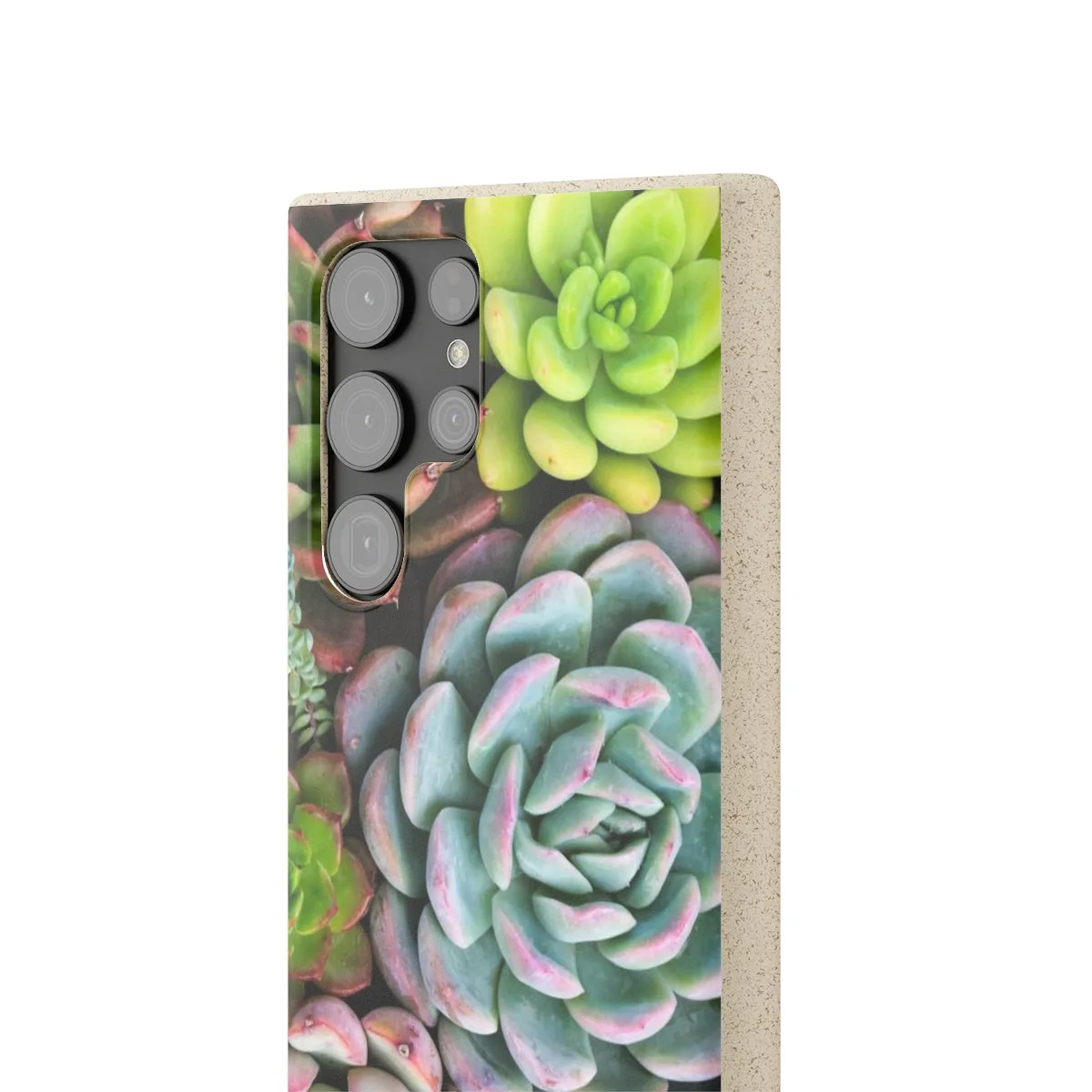 Cactus Eco Phone Case, Succulent iPhone 13 12 11 Pro Biodegradable Mini Plant Samsung Galaxy S20 S21 S22 Eco Friendly