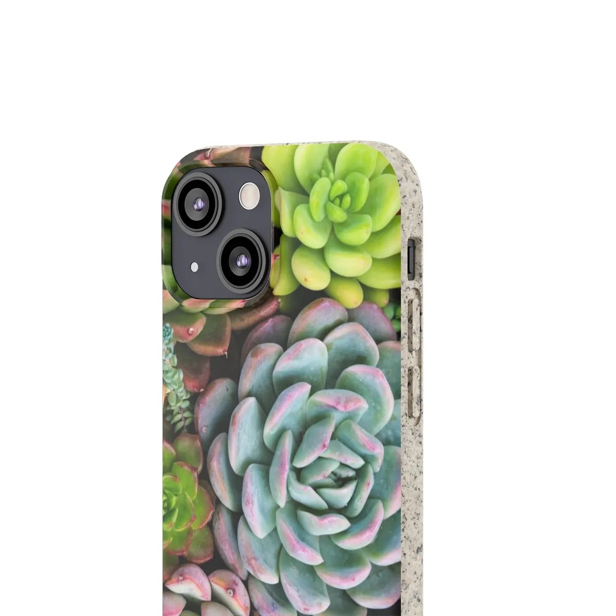 Cactus Eco Phone Case, Succulent iPhone 13 12 11 Pro Biodegradable Mini Plant Samsung Galaxy S20 S21 S22 Eco Friendly