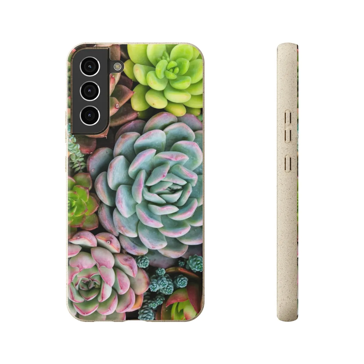 Cactus Eco Phone Case, Succulent iPhone 13 12 11 Pro Biodegradable Mini Plant Samsung Galaxy S20 S21 S22 Eco Friendly