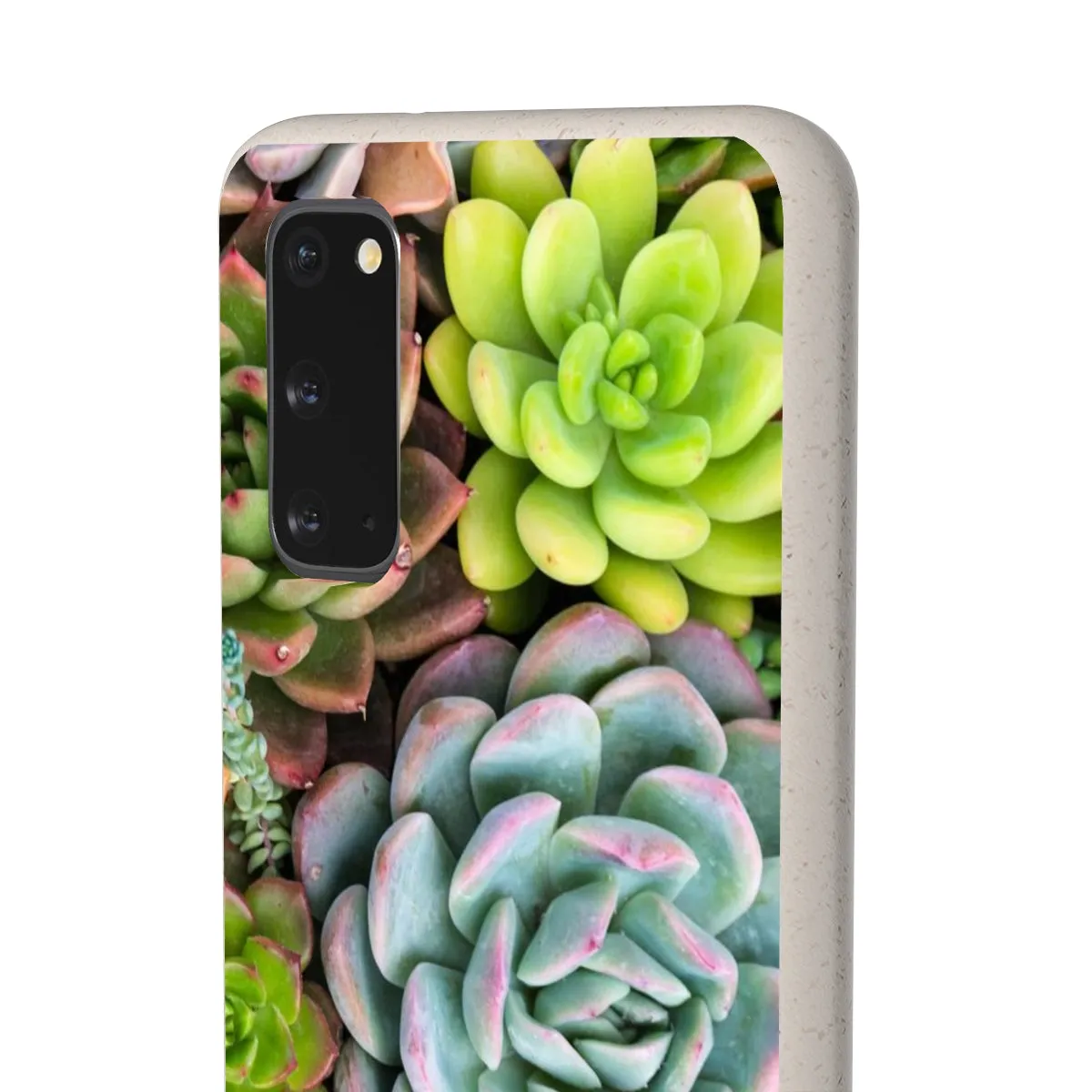 Cactus Eco Phone Case, Succulent iPhone 13 12 11 Pro Biodegradable Mini Plant Samsung Galaxy S20 S21 S22 Eco Friendly