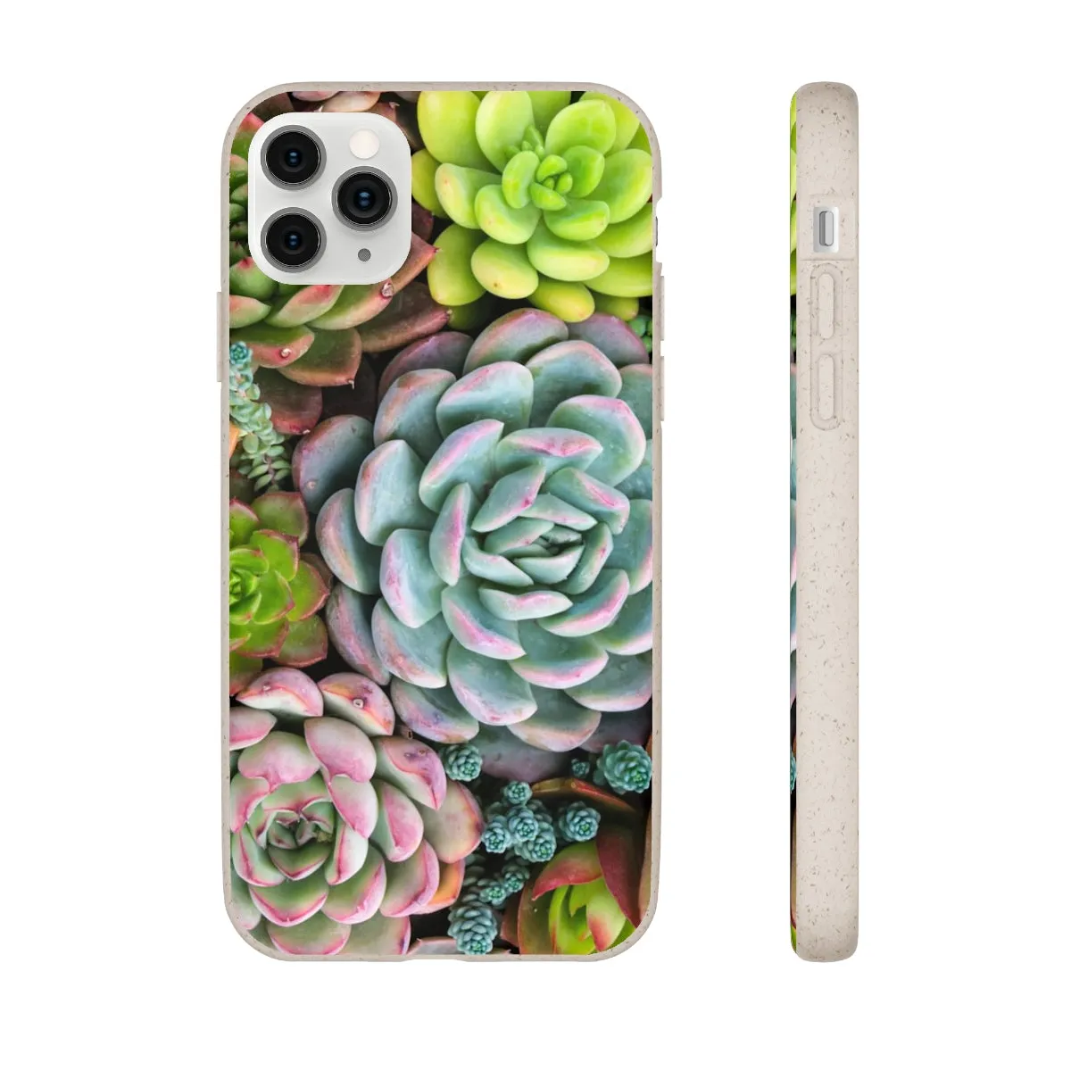 Cactus Eco Phone Case, Succulent iPhone 13 12 11 Pro Biodegradable Mini Plant Samsung Galaxy S20 S21 S22 Eco Friendly