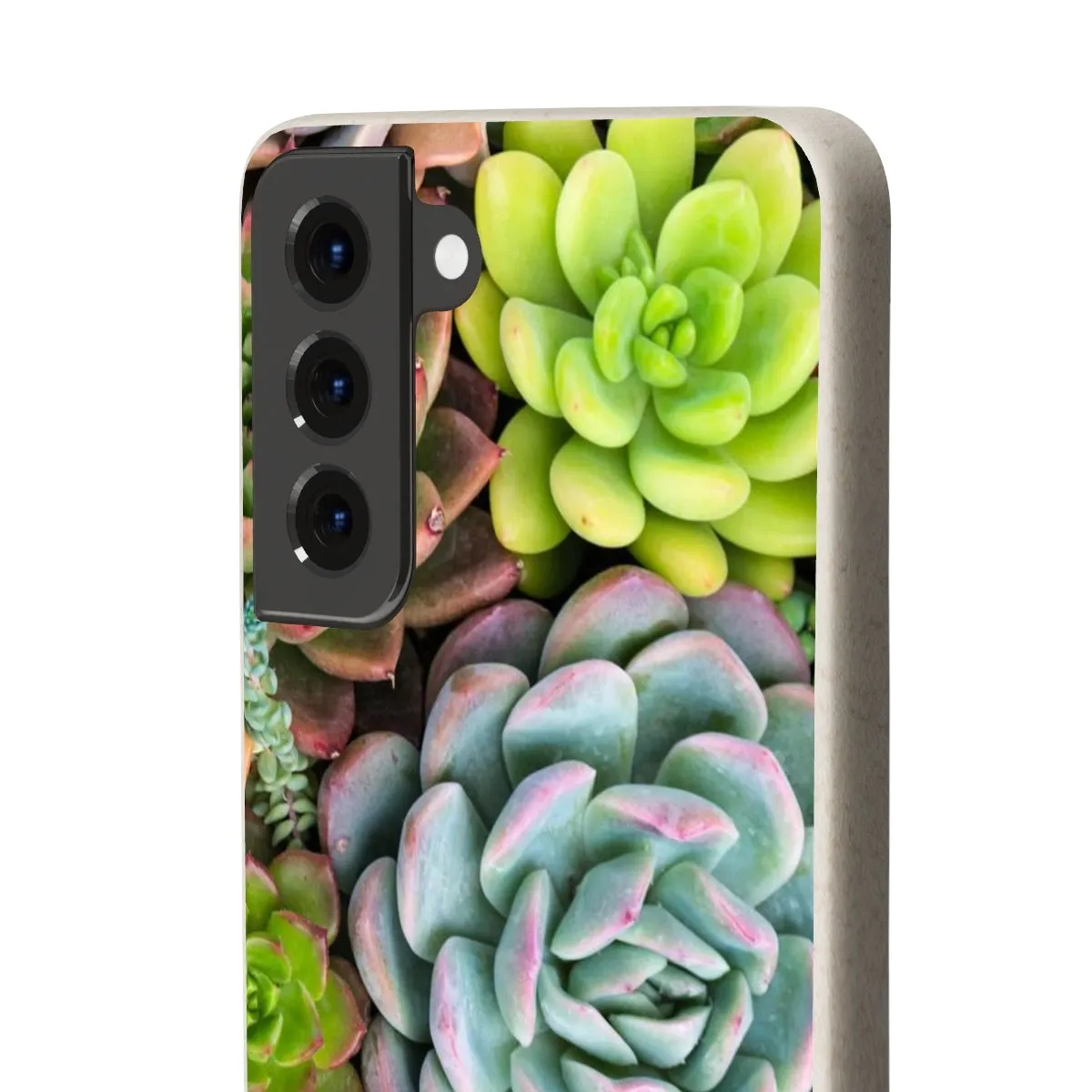 Cactus Eco Phone Case, Succulent iPhone 13 12 11 Pro Biodegradable Mini Plant Samsung Galaxy S20 S21 S22 Eco Friendly