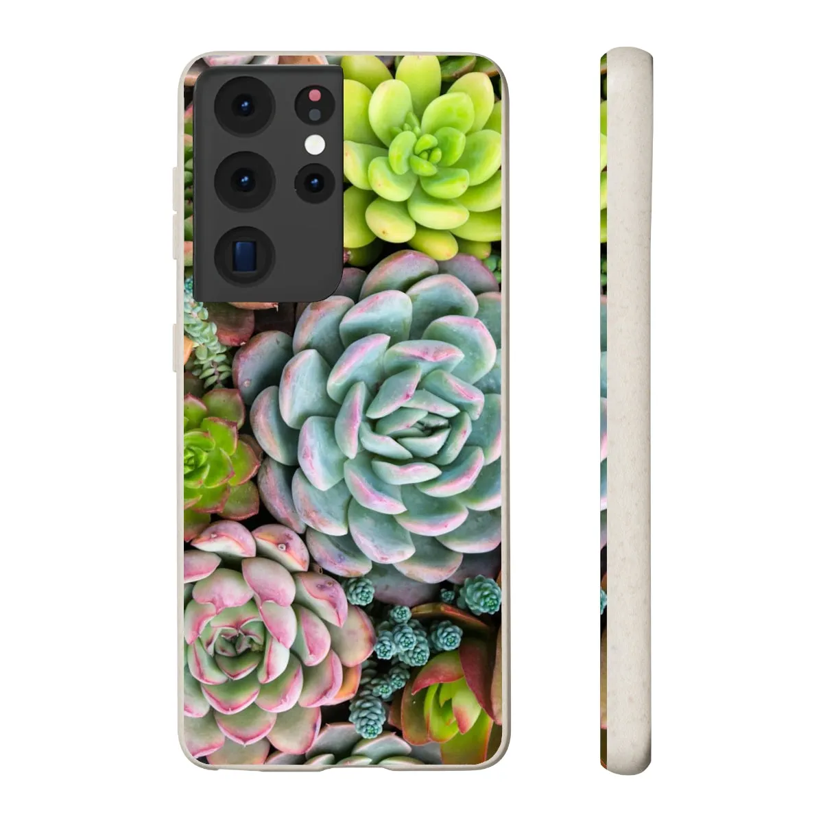 Cactus Eco Phone Case, Succulent iPhone 13 12 11 Pro Biodegradable Mini Plant Samsung Galaxy S20 S21 S22 Eco Friendly