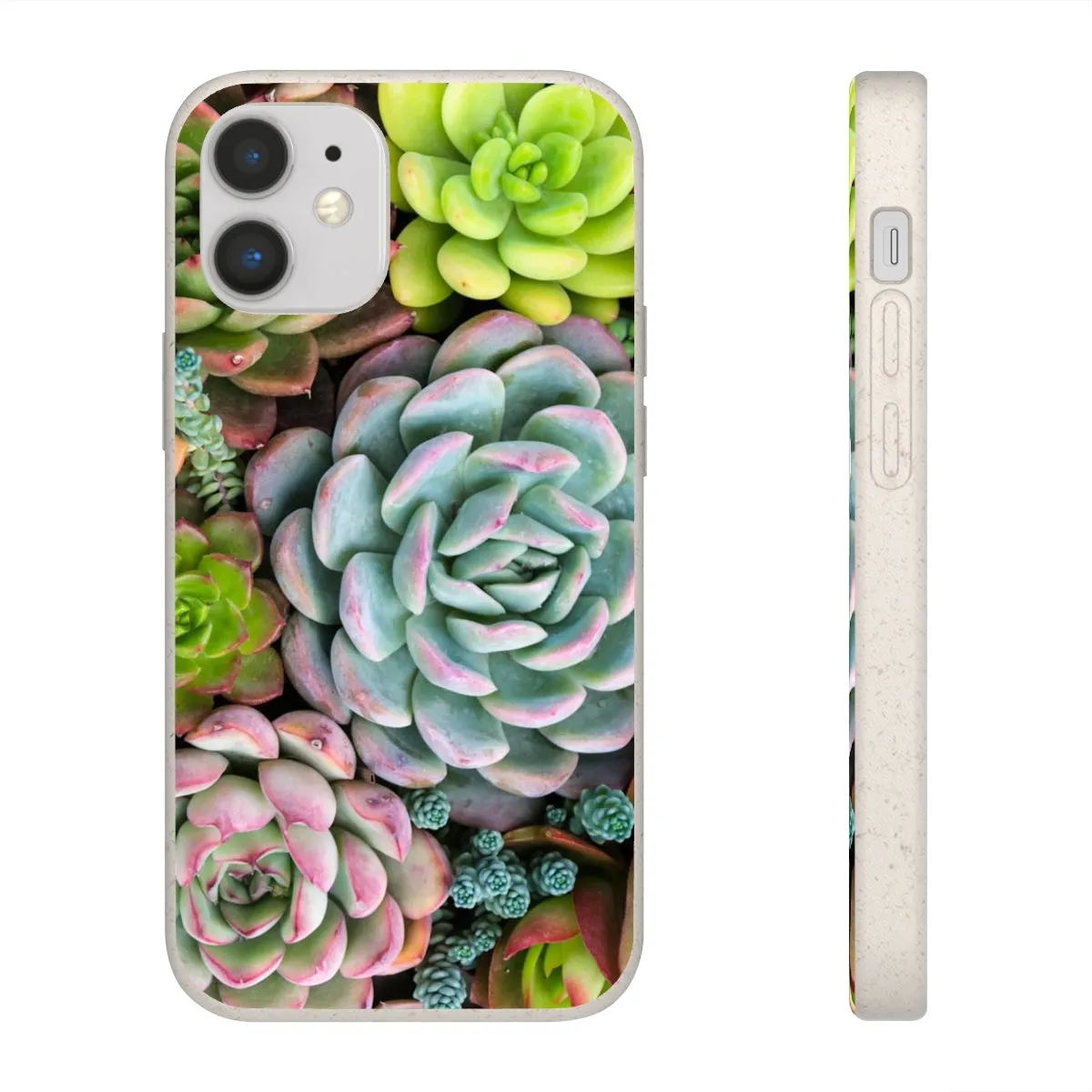 Cactus Eco Phone Case, Succulent iPhone 13 12 11 Pro Biodegradable Mini Plant Samsung Galaxy S20 S21 S22 Eco Friendly