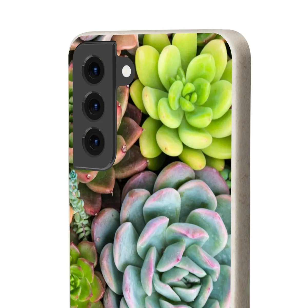 Cactus Eco Phone Case, Succulent iPhone 13 12 11 Pro Biodegradable Mini Plant Samsung Galaxy S20 S21 S22 Eco Friendly