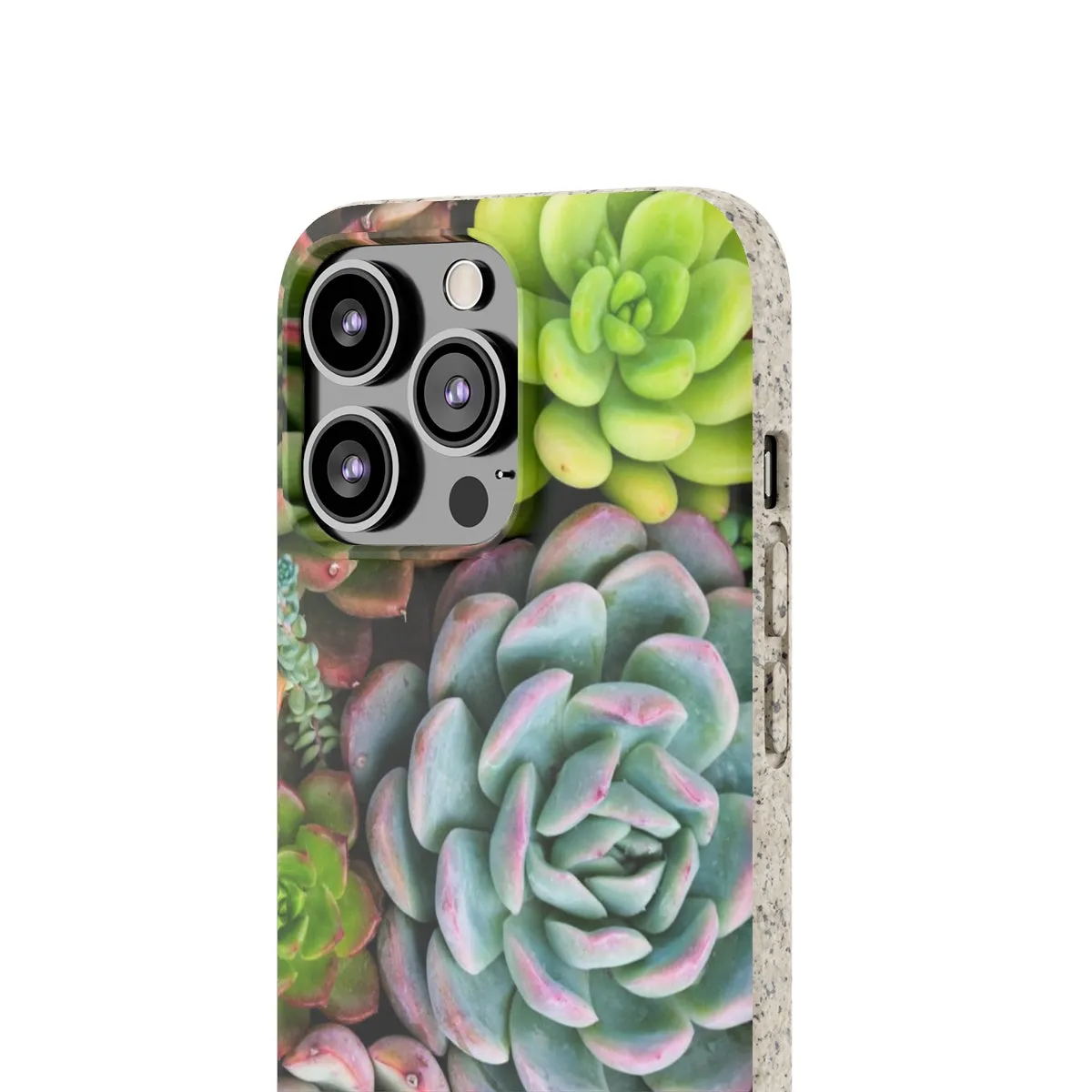 Cactus Eco Phone Case, Succulent iPhone 13 12 11 Pro Biodegradable Mini Plant Samsung Galaxy S20 S21 S22 Eco Friendly