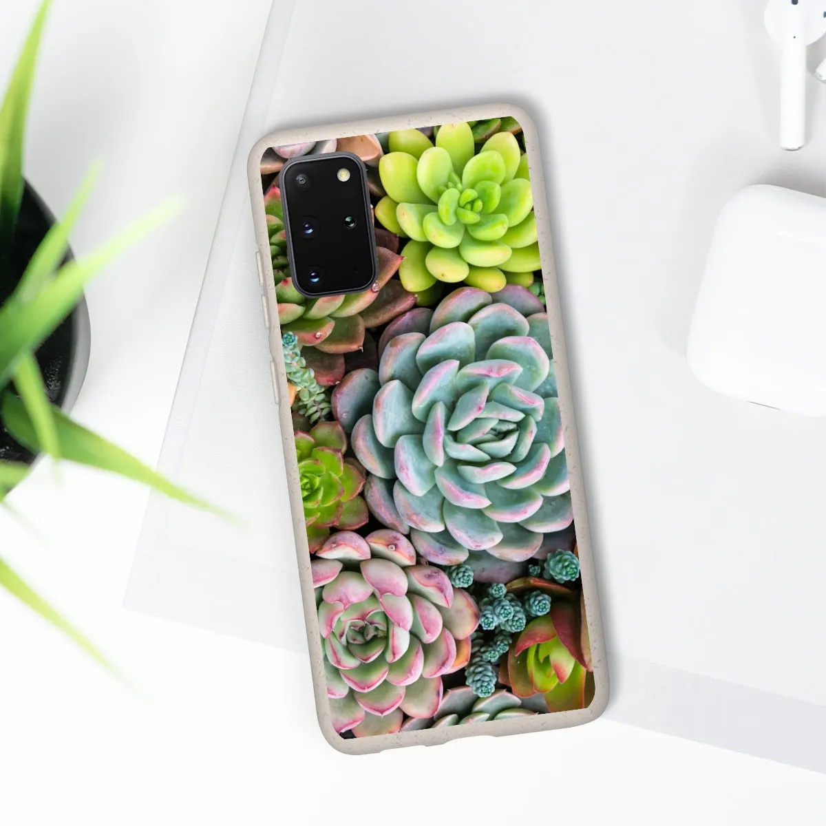 Cactus Eco Phone Case, Succulent iPhone 13 12 11 Pro Biodegradable Mini Plant Samsung Galaxy S20 S21 S22 Eco Friendly