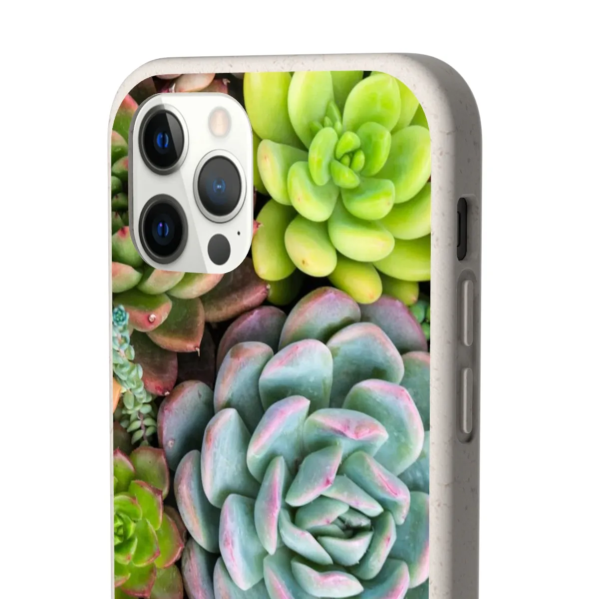 Cactus Eco Phone Case, Succulent iPhone 13 12 11 Pro Biodegradable Mini Plant Samsung Galaxy S20 S21 S22 Eco Friendly