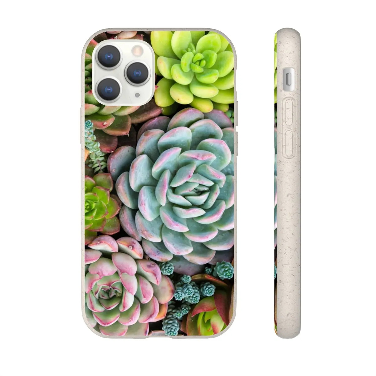 Cactus Eco Phone Case, Succulent iPhone 13 12 11 Pro Biodegradable Mini Plant Samsung Galaxy S20 S21 S22 Eco Friendly