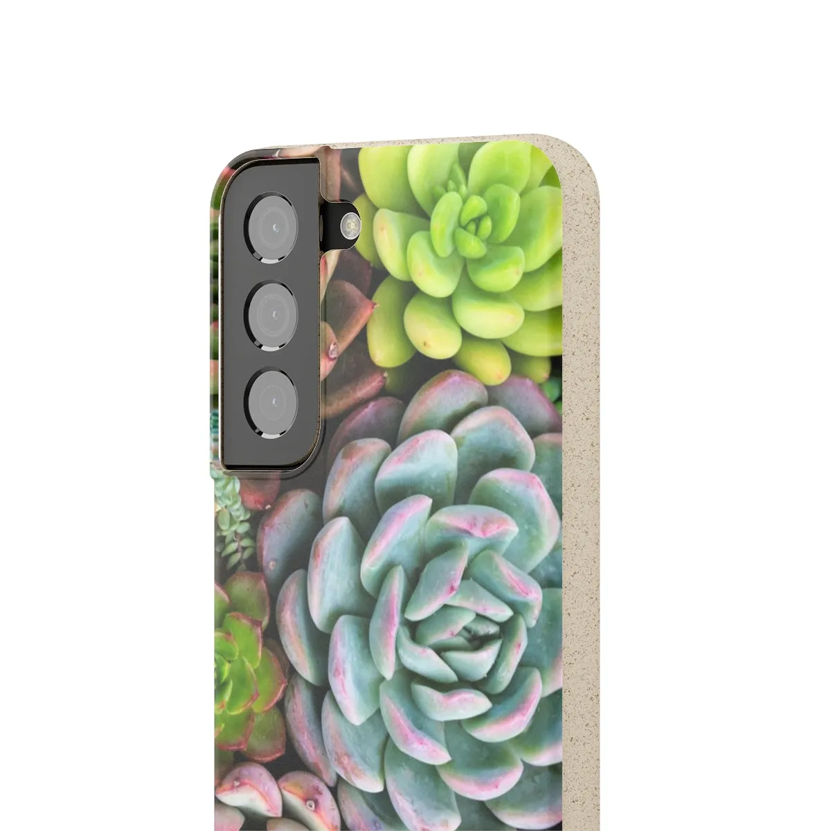 Cactus Eco Phone Case, Succulent iPhone 13 12 11 Pro Biodegradable Mini Plant Samsung Galaxy S20 S21 S22 Eco Friendly