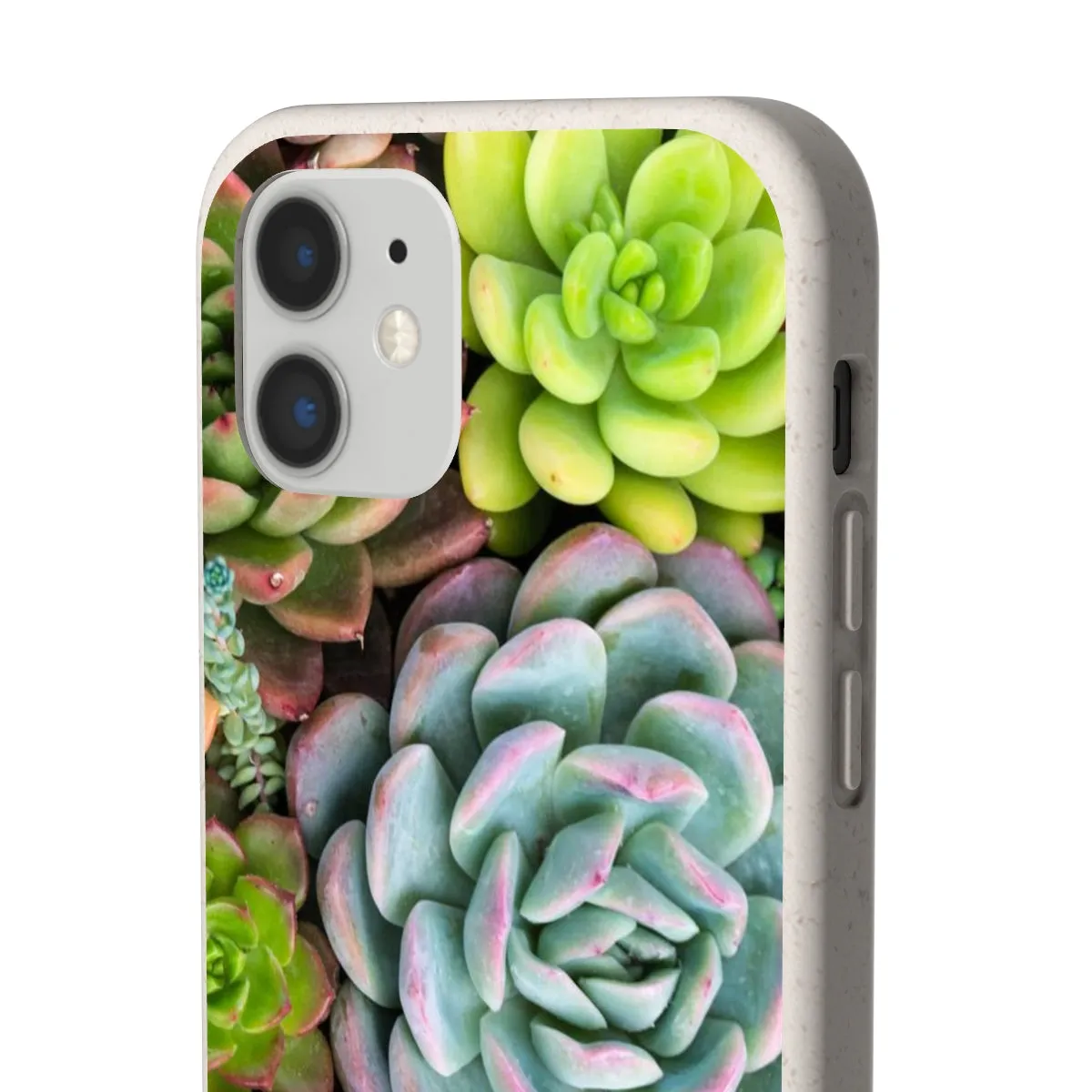 Cactus Eco Phone Case, Succulent iPhone 13 12 11 Pro Biodegradable Mini Plant Samsung Galaxy S20 S21 S22 Eco Friendly