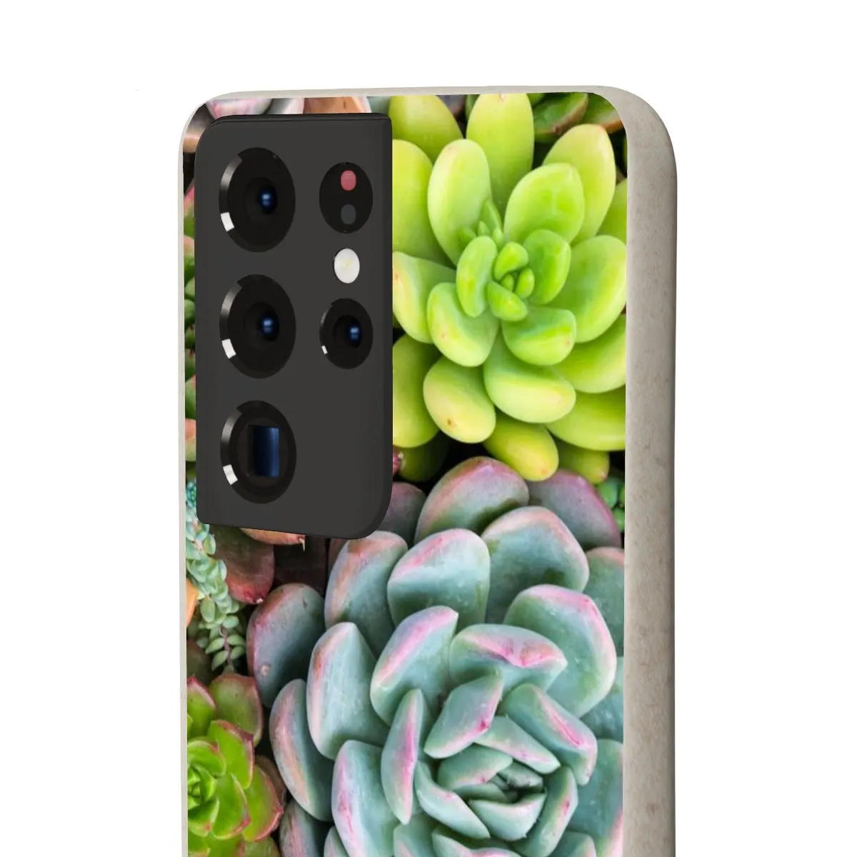 Cactus Eco Phone Case, Succulent iPhone 13 12 11 Pro Biodegradable Mini Plant Samsung Galaxy S20 S21 S22 Eco Friendly