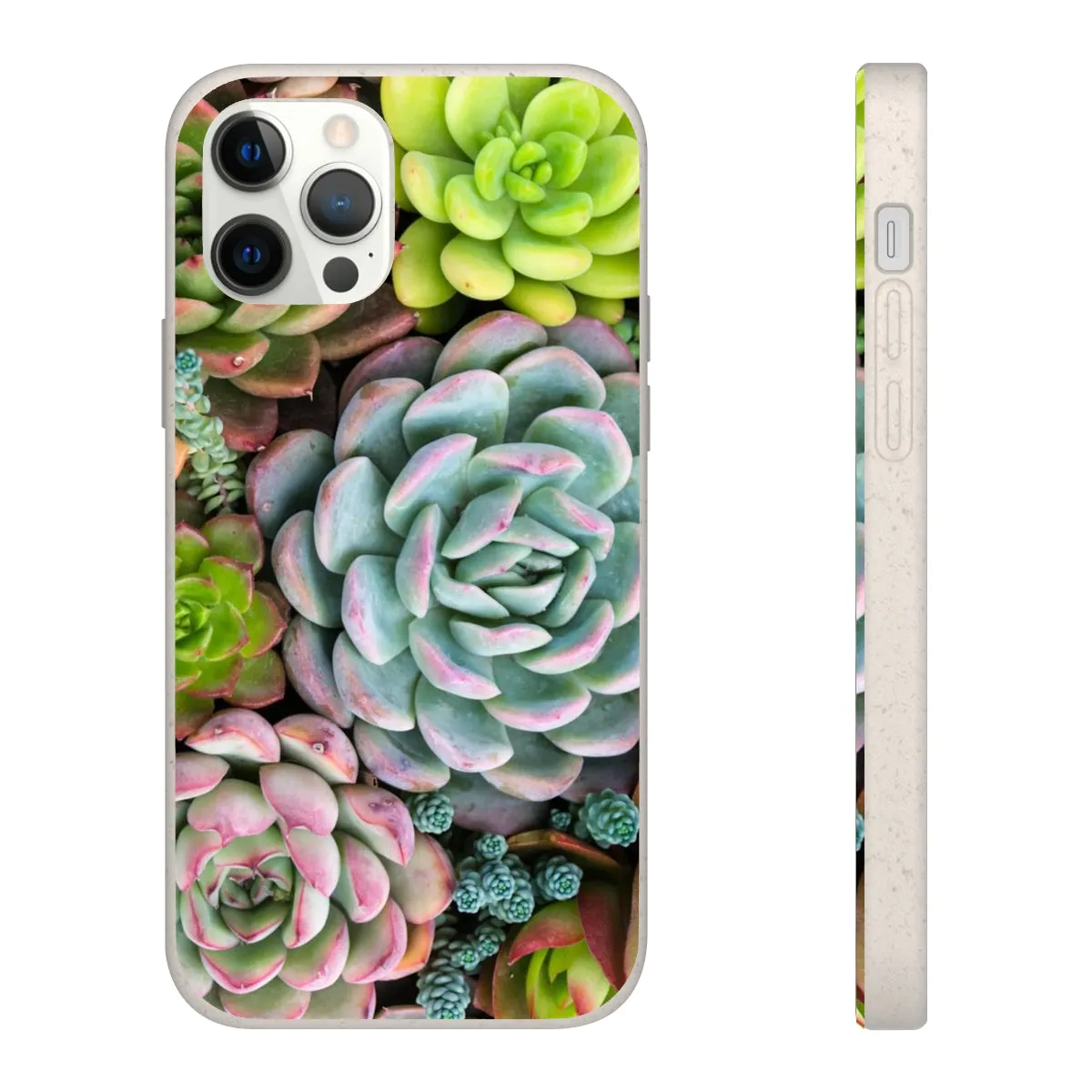 Cactus Eco Phone Case, Succulent iPhone 13 12 11 Pro Biodegradable Mini Plant Samsung Galaxy S20 S21 S22 Eco Friendly