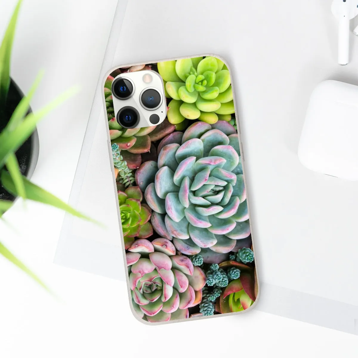 Cactus Eco Phone Case, Succulent iPhone 13 12 11 Pro Biodegradable Mini Plant Samsung Galaxy S20 S21 S22 Eco Friendly