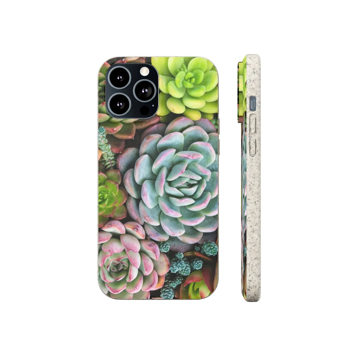 Cactus Eco Phone Case, Succulent iPhone 13 12 11 Pro Biodegradable Mini Plant Samsung Galaxy S20 S21 S22 Eco Friendly