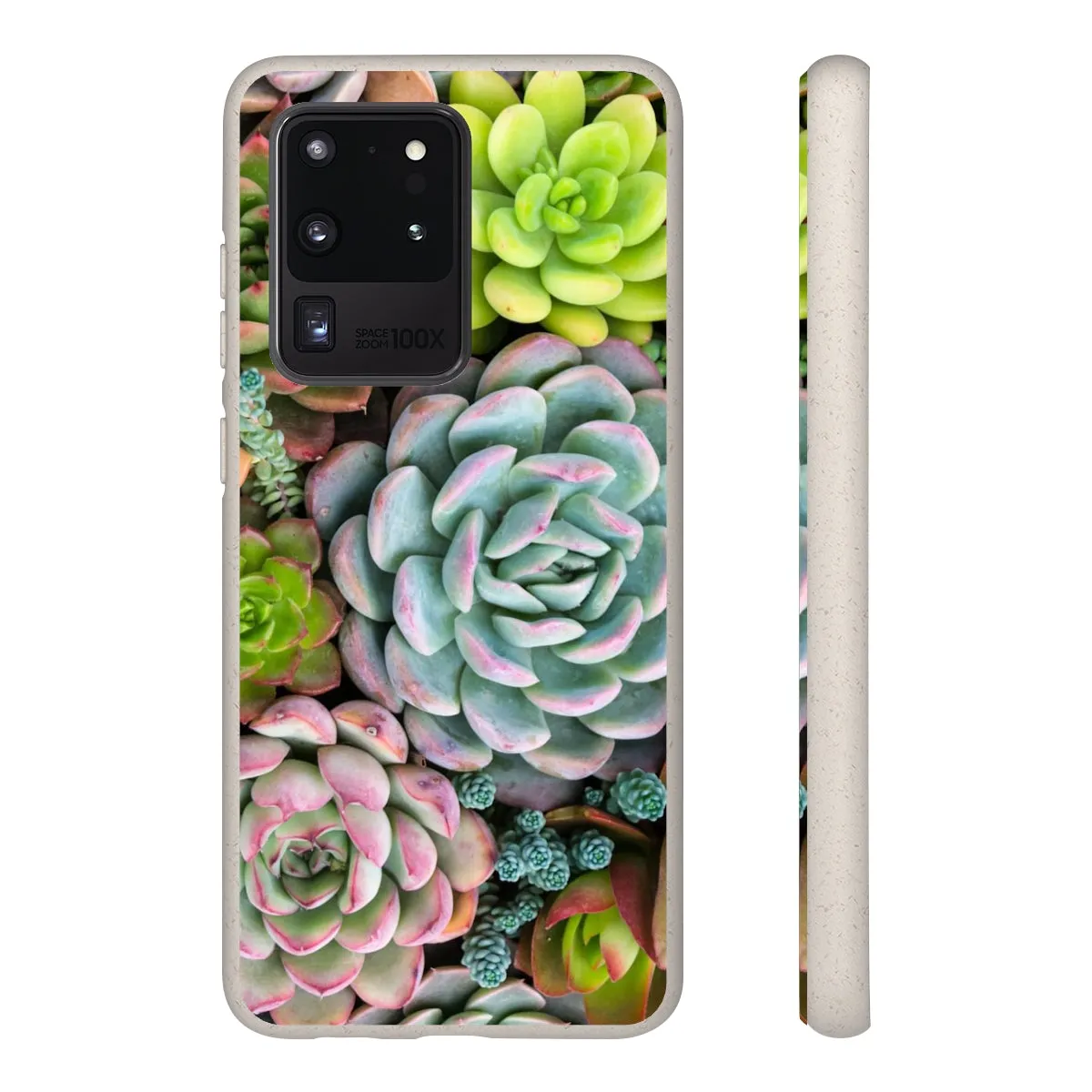 Cactus Eco Phone Case, Succulent iPhone 13 12 11 Pro Biodegradable Mini Plant Samsung Galaxy S20 S21 S22 Eco Friendly