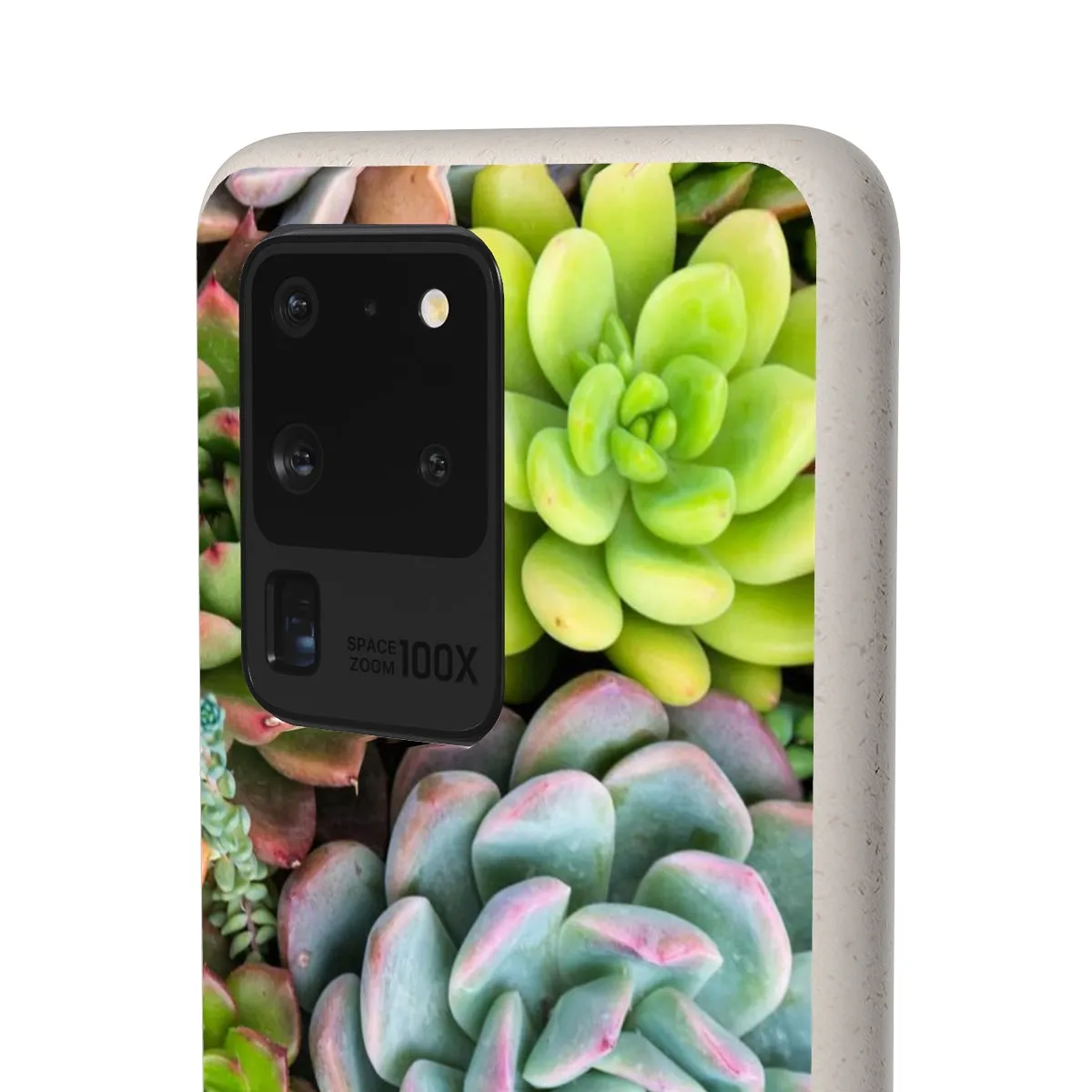 Cactus Eco Phone Case, Succulent iPhone 13 12 11 Pro Biodegradable Mini Plant Samsung Galaxy S20 S21 S22 Eco Friendly