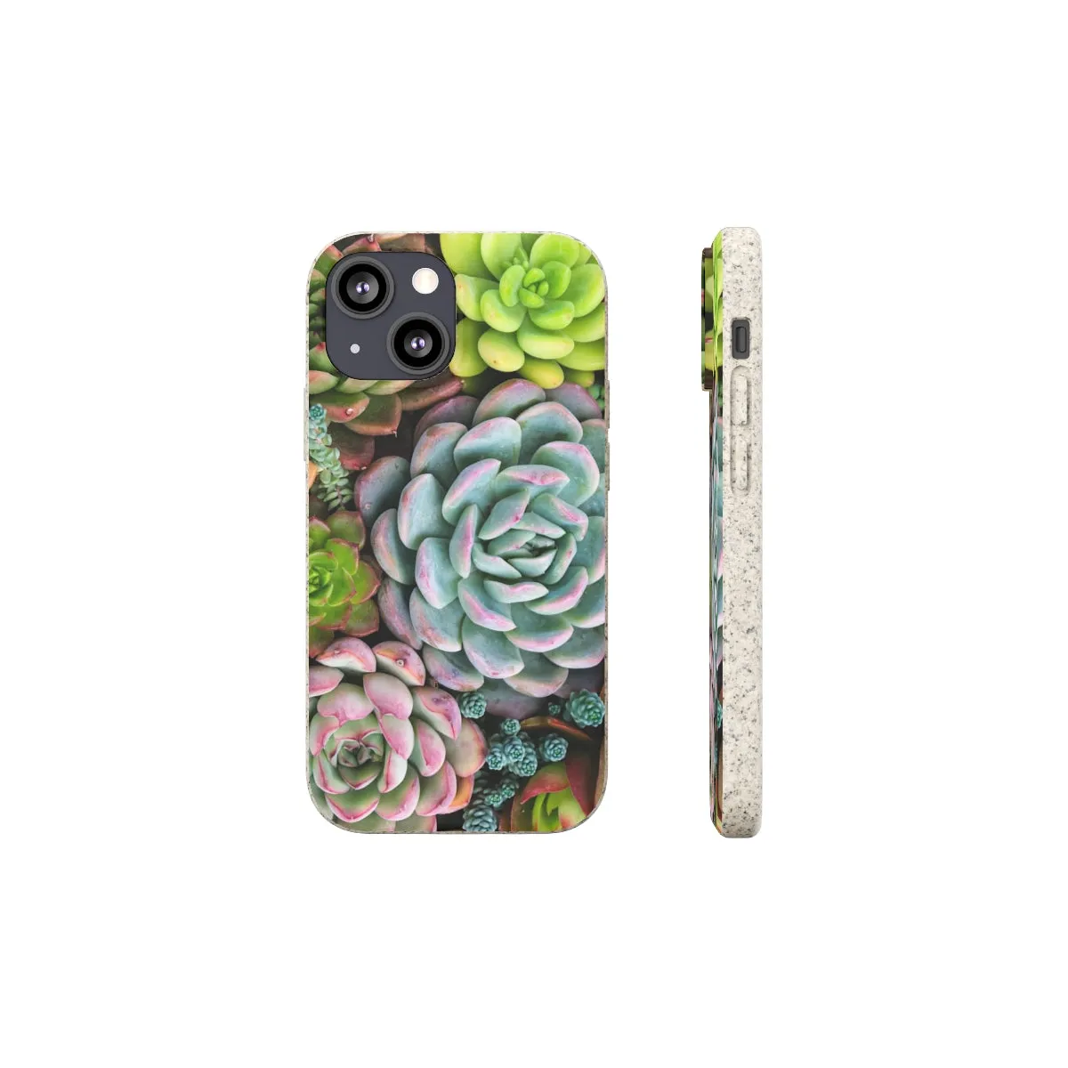 Cactus Eco Phone Case, Succulent iPhone 13 12 11 Pro Biodegradable Mini Plant Samsung Galaxy S20 S21 S22 Eco Friendly