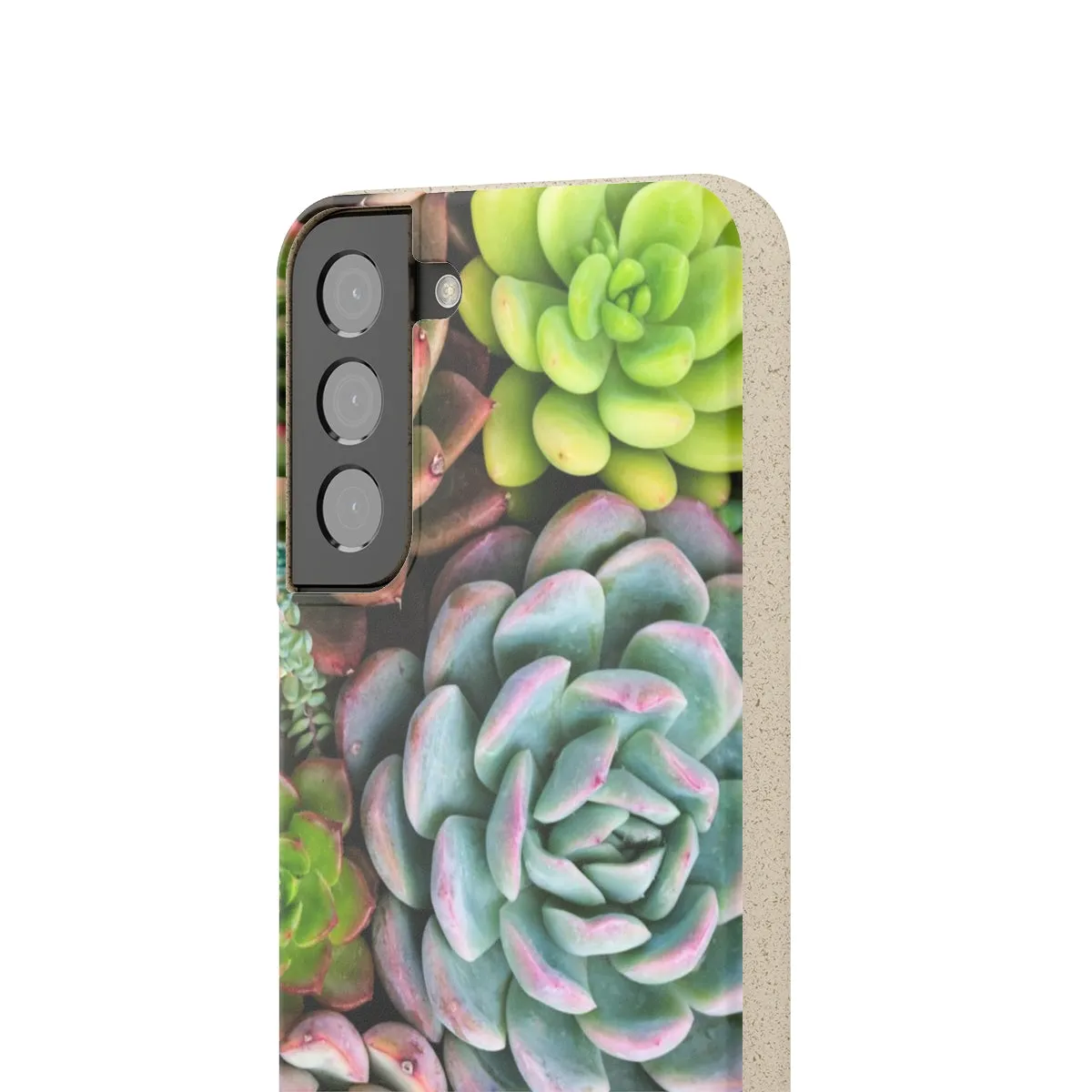 Cactus Eco Phone Case, Succulent iPhone 13 12 11 Pro Biodegradable Mini Plant Samsung Galaxy S20 S21 S22 Eco Friendly