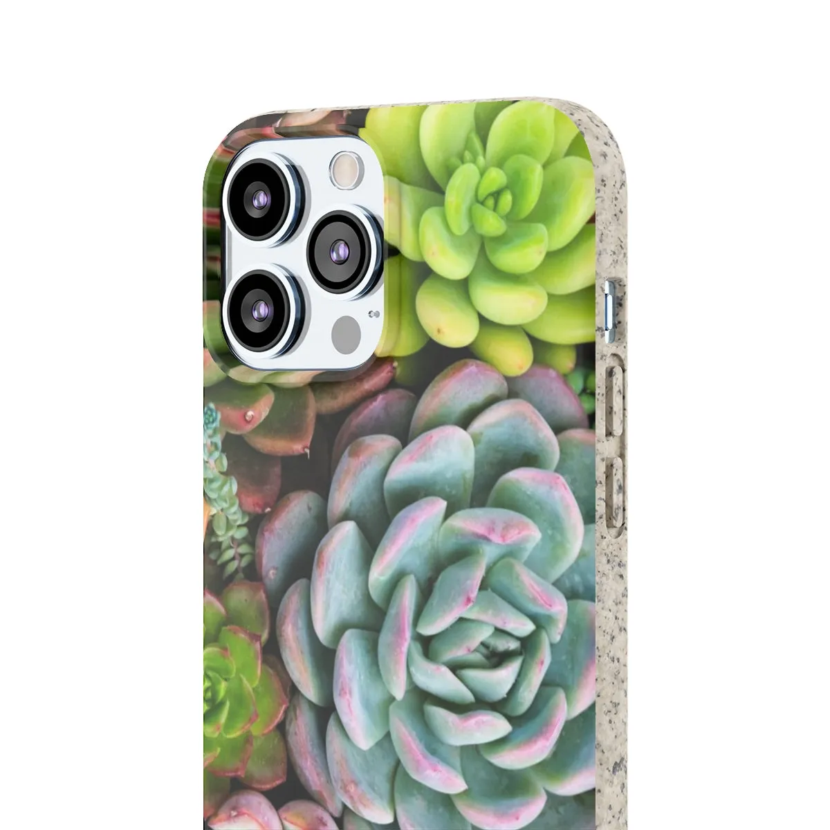 Cactus Eco Phone Case, Succulent iPhone 13 12 11 Pro Biodegradable Mini Plant Samsung Galaxy S20 S21 S22 Eco Friendly