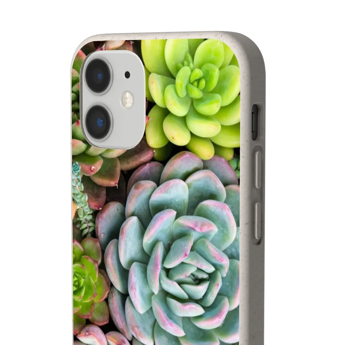 Cactus Eco Phone Case, Succulent iPhone 13 12 11 Pro Biodegradable Mini Plant Samsung Galaxy S20 S21 S22 Eco Friendly