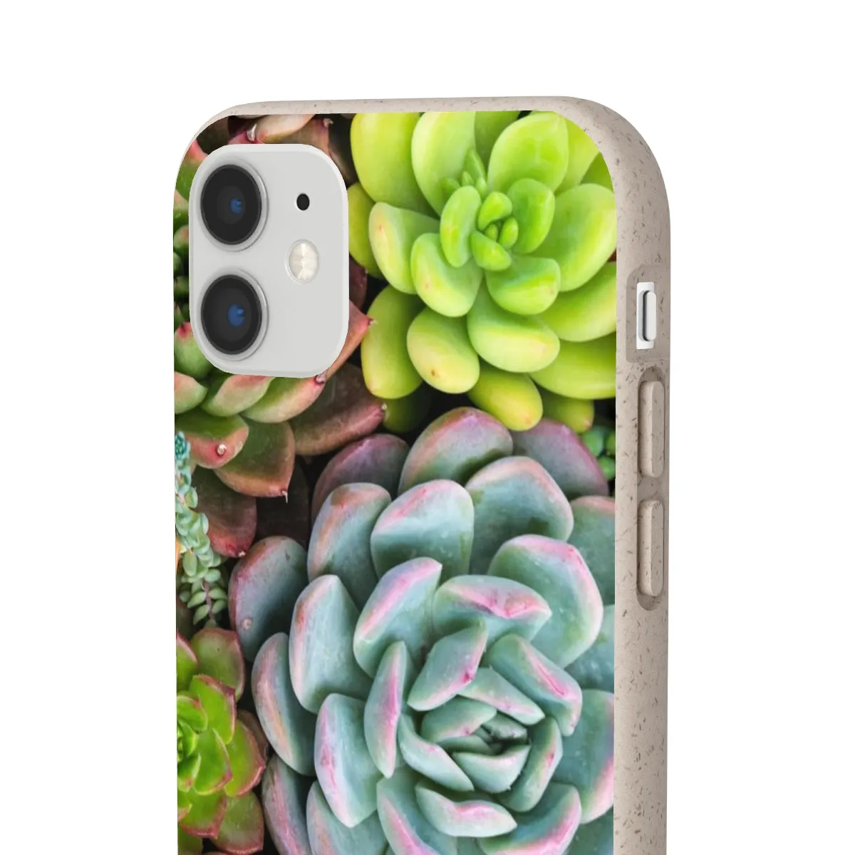 Cactus Eco Phone Case, Succulent iPhone 13 12 11 Pro Biodegradable Mini Plant Samsung Galaxy S20 S21 S22 Eco Friendly