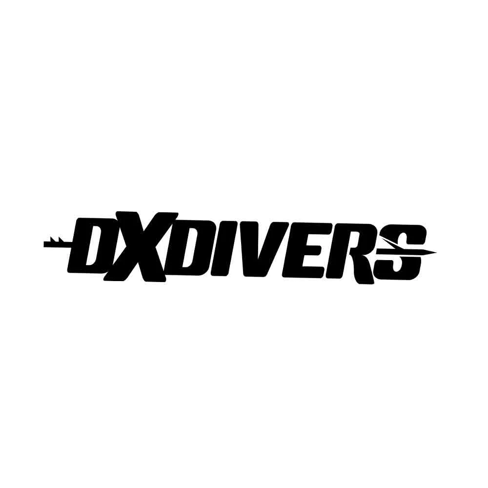 DXDivers Light Holder