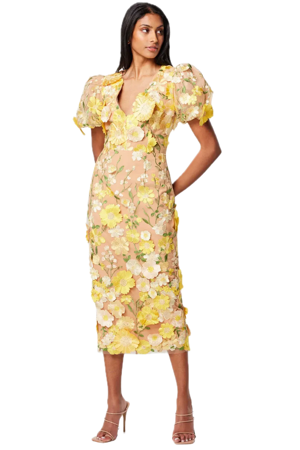 Elliatt Indie Midi Dress with 3D Floral Embroidery