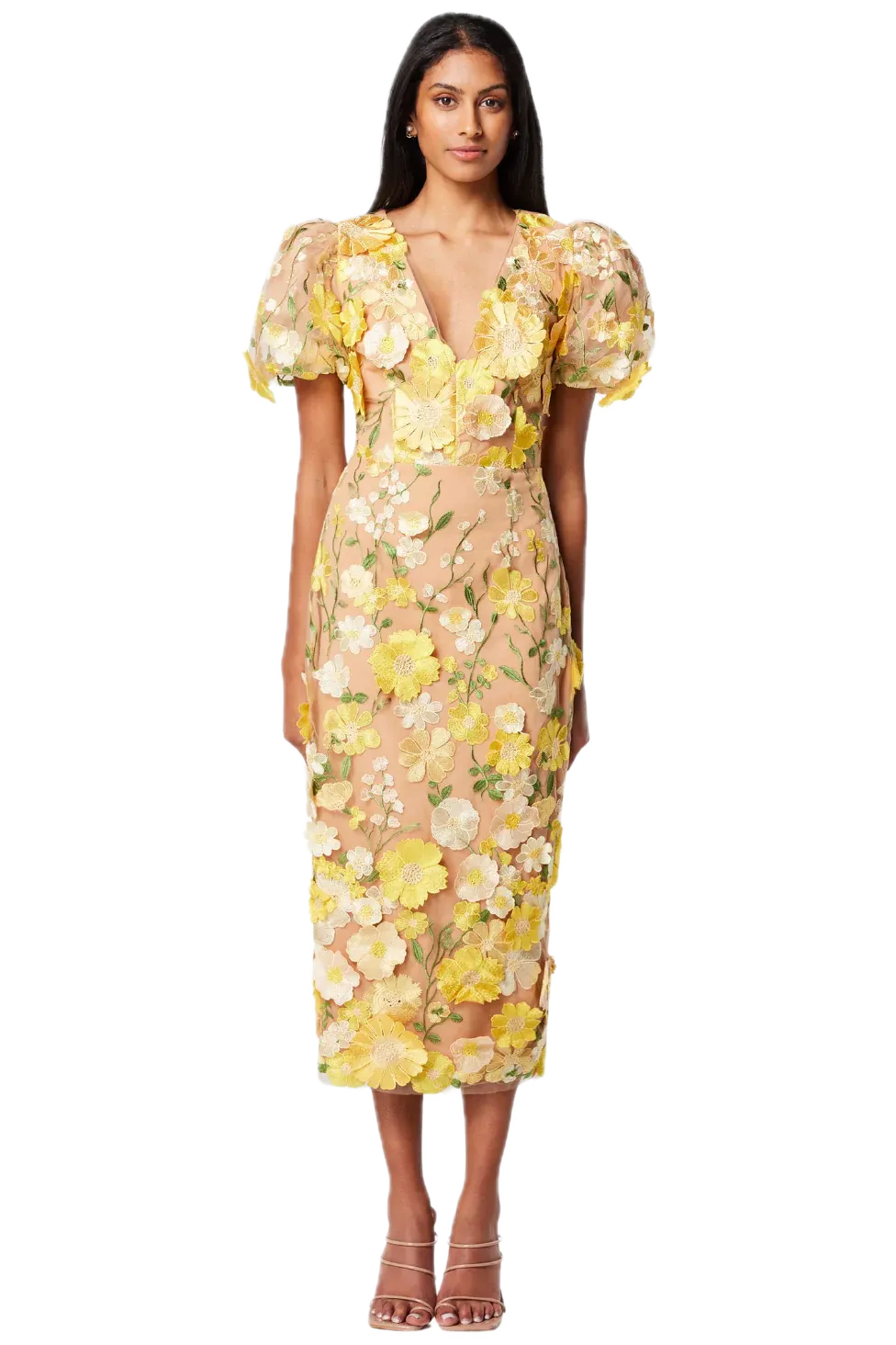 Elliatt Indie Midi Dress with 3D Floral Embroidery