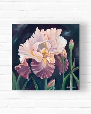 Iris Study Canvas