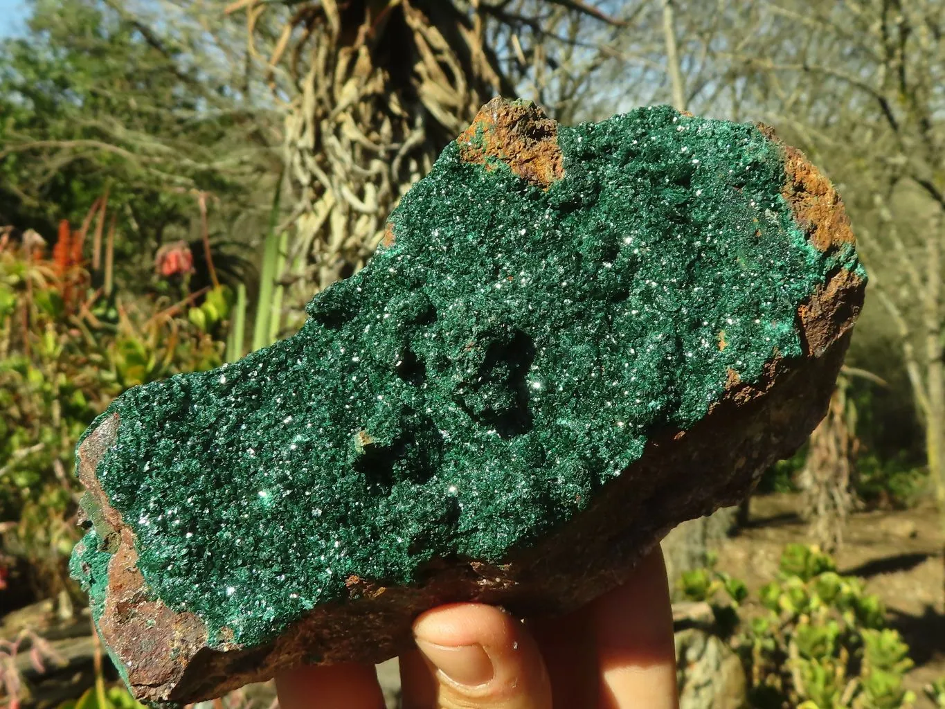 Natural Stunning Crystalline Malachite Specimens  x 2 From Congo