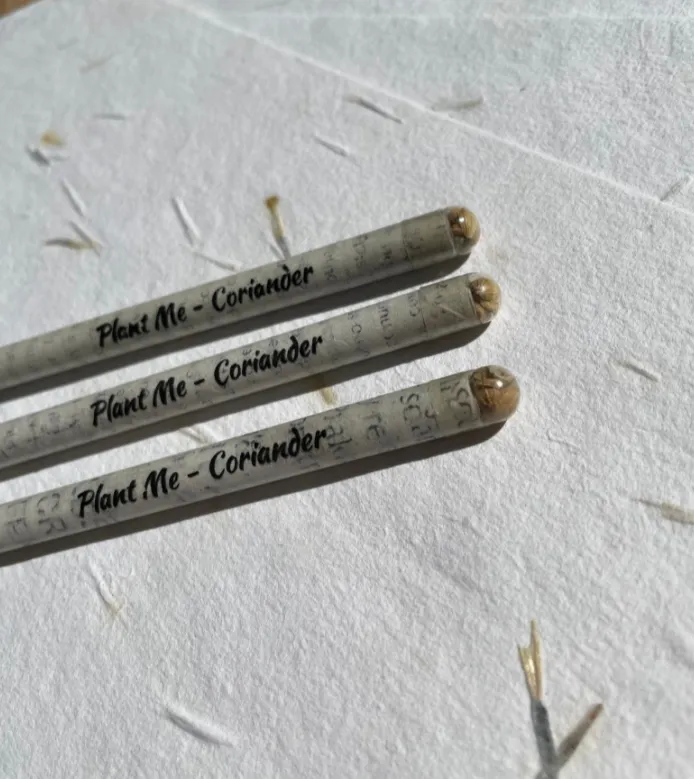 Seed pencils - recycled rolled newspaper - coriander seeds - sustainably sourced graphite - botanical stationary - eco pencil