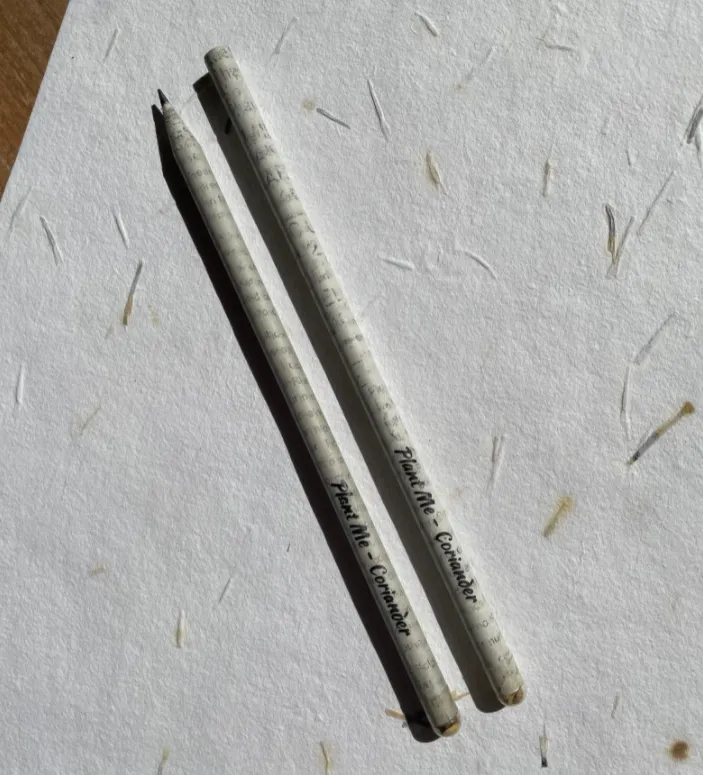 Seed pencils - recycled rolled newspaper - coriander seeds - sustainably sourced graphite - botanical stationary - eco pencil