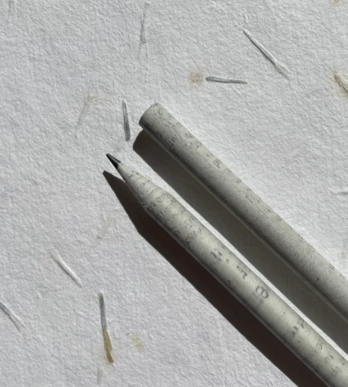 Seed pencils - recycled rolled newspaper - coriander seeds - sustainably sourced graphite - botanical stationary - eco pencil