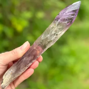 Stunning Brazilian Amethyst Half Polished Root