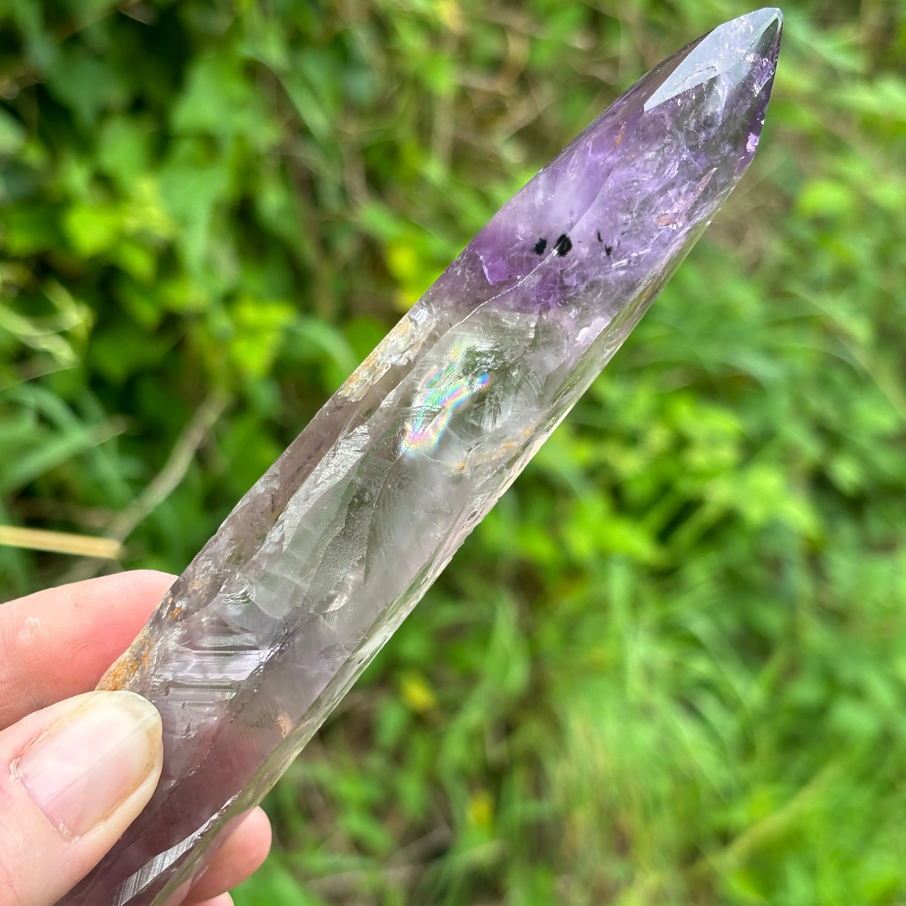 Stunning Brazilian Amethyst Half Polished Root